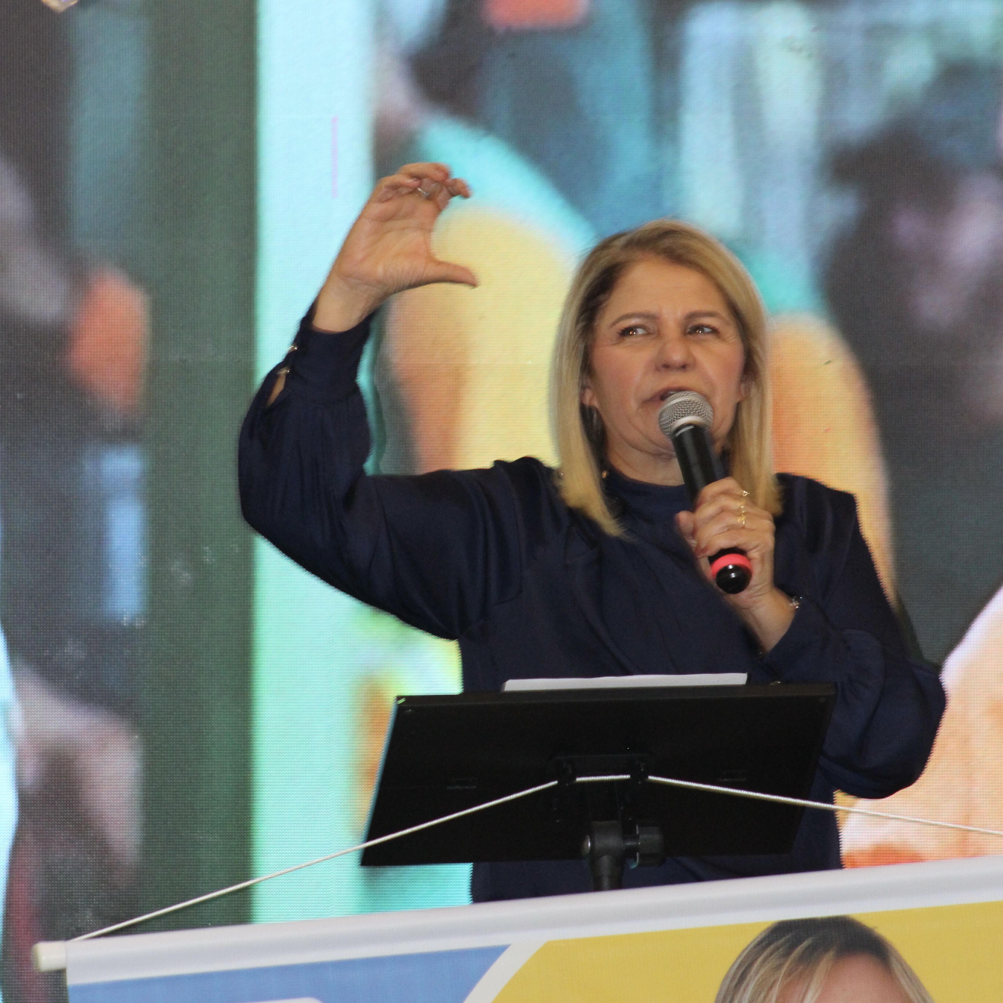 Câmara Legislativa do DF - Rejane Costa deputada distrital